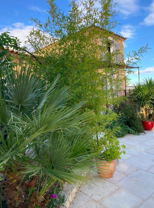 Le Pool House Bed & Breakfast Nimes Exterior photo